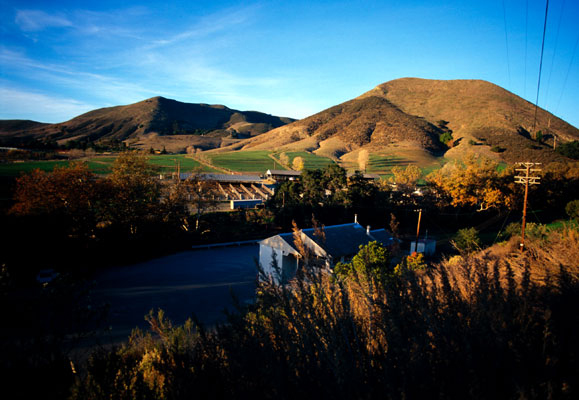 Mountains_and_grass