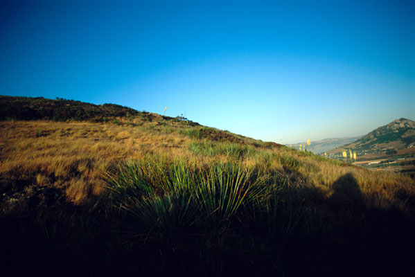 Overlooking_SLO