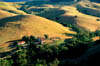 Houses_in_canyon