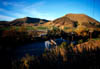 Mountains_and_grass