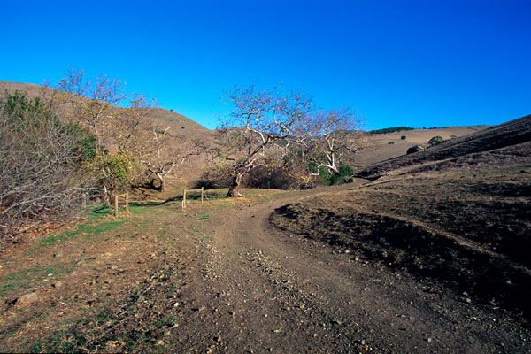 Dirt_Road