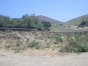 Colt Pasture Boundary