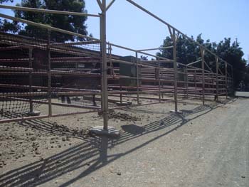 Horse Stalls