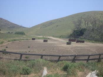 Sidehill Feeding Area