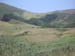 Grazing in upper Horse Canyon