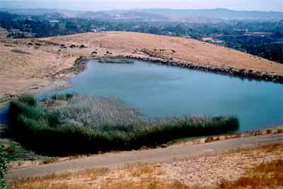 indonexian resevoir